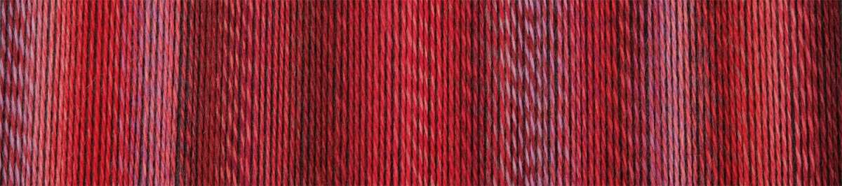 Schoppel Wolle Zauberball Crazy 4 ply