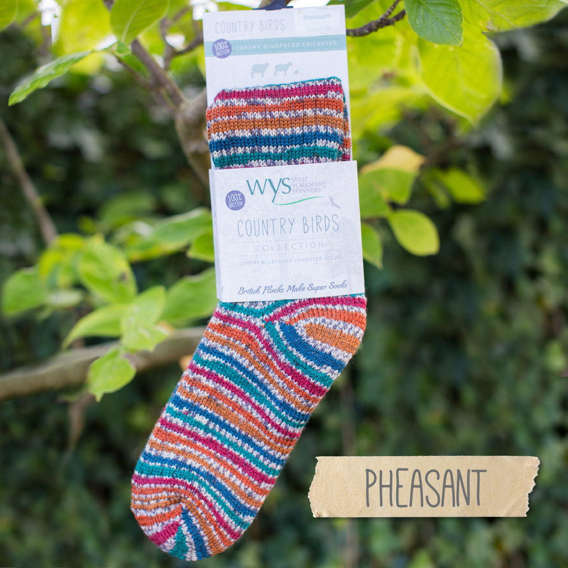 West Yorkshire Spinners Luxury Blue Faced Leicester Socks