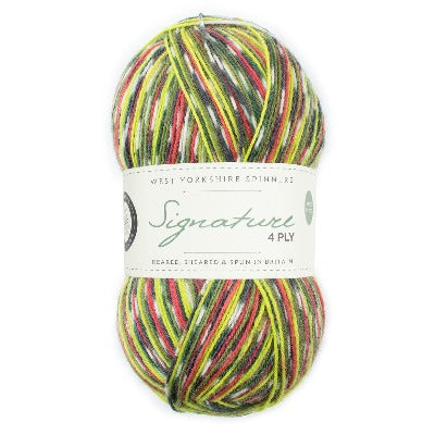 West Yorkshire Spinners Signature 4ply - Country Birds Range