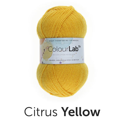 WEST YORKSHIRE SPINNERS COLOUR LAB DK