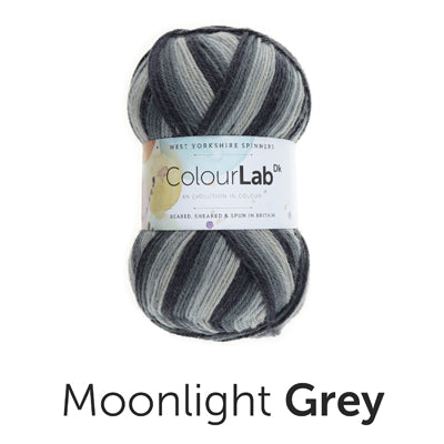 WEST YORKSHIRE SPINNERS COLOUR LAB DK