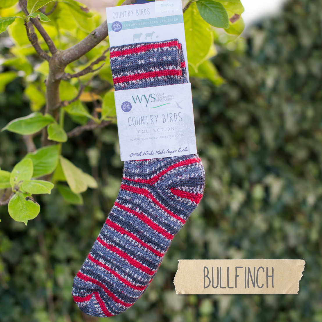 West Yorkshire Spinners Luxury Blue Faced Leicester Socks